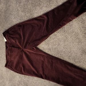 Maroon velvet pants